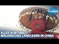 Idyllische Illusion: Wie Chinas Dörfer im Osten das perfekte Urlaubsfoto inszenieren