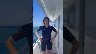 Thumbnail for Der Tauchlehrer hat sich verliebt