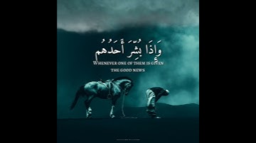 قران كريم - بصوت احمد خضر |حالات واتس اب دينيه 😢💙