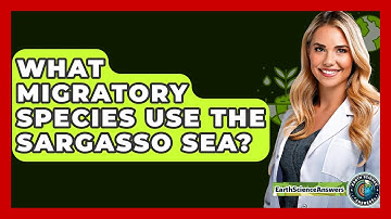 What Migratory Species Use The Sargasso Sea? - Earth Science Answers