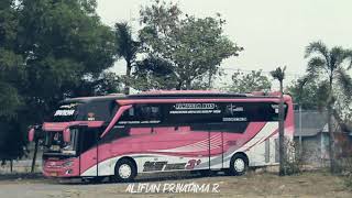Story wa cinematic 30 detik bus stj BAVIKHA leda lede