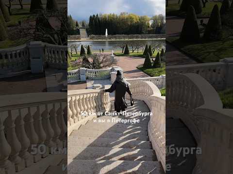 Как добраться до Петергофа и сколько стоит? #петергоф #санктпетербург #shorts inst: av_influence