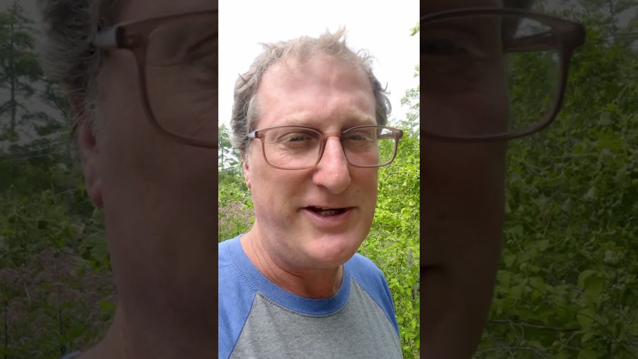 RM Codonopsis/Dang Shen