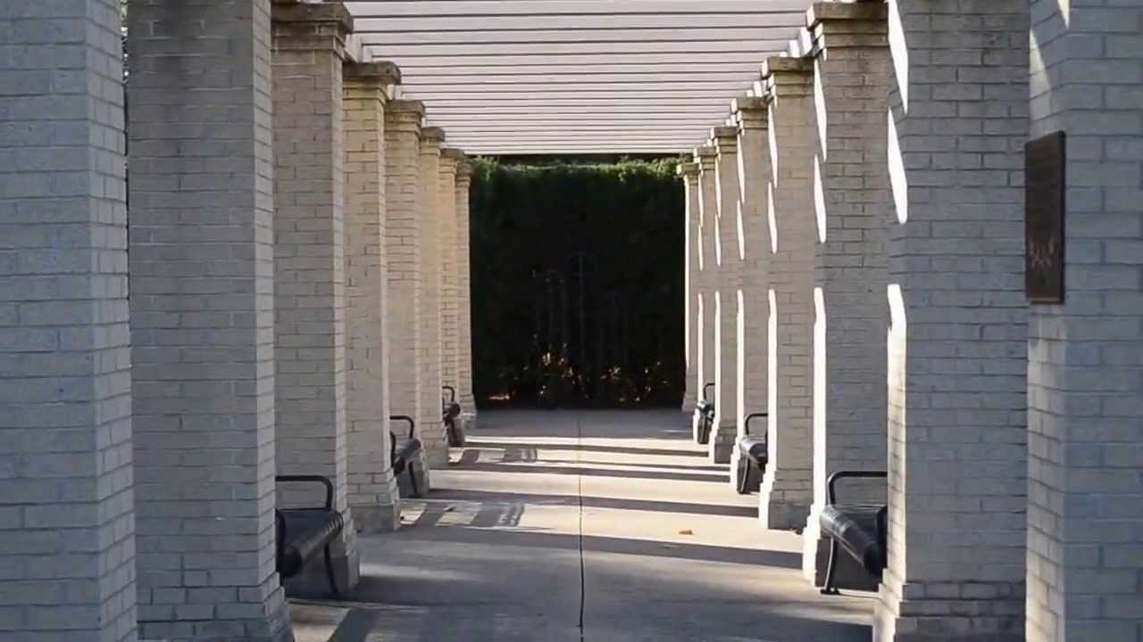 A Walk Through Vander Veer Park