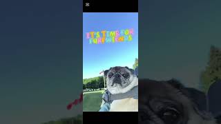 Vacation Park Trips: Friday...Dedicated to Digby 🐶🪽🌈