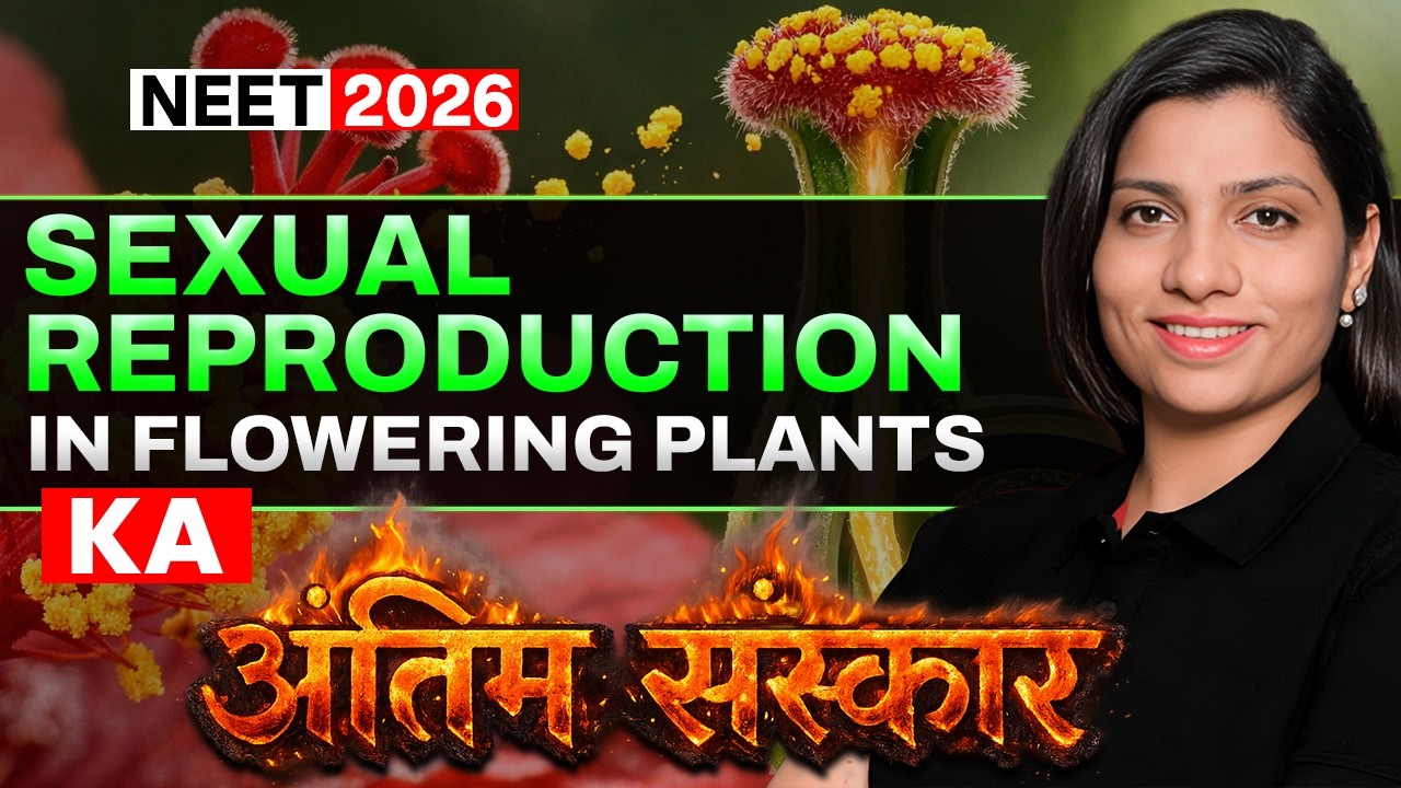 Sexual Reproduction in Flowering Plants- Last Hope Revision | Ritu Rattewal | #neet2026 #neet