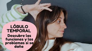 ¿Qué es el lóbulo temporal?| Funciones y trastornos