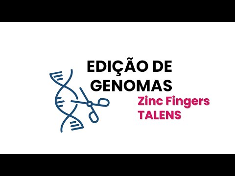 Vídeo: Quando as nucleases de dedo de zinco foram descobertas?