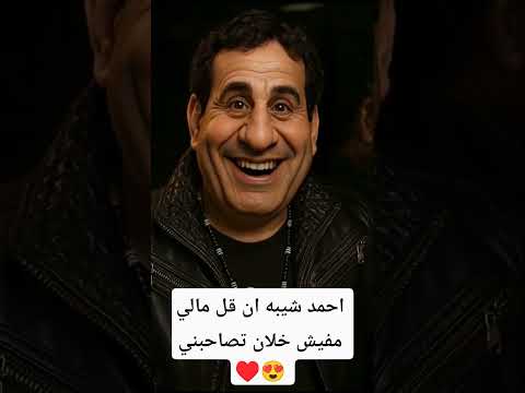 احمد شيبه ان قل مالي مفيش خلان تصاحبني الفنان احمد شيبه