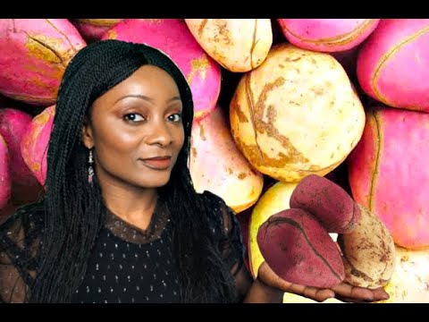 Vertus Et Bienfaits De La Noix De Cola Kola Youtube Vertus Et Bienfaits De La Noix De Cola Kola Youtube