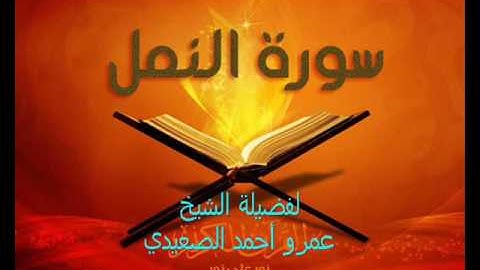سورة النمل للشيخ عمرو أحمد الصعيدي