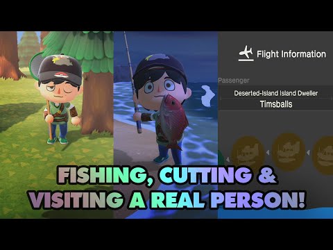 Red Snappers And Visiting A Real Person's Island! - Animal Crossing New Horizons