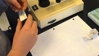 microscope part 5