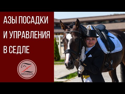 Азы посадки и управления лошадью в седле