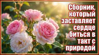 Струны Твоего Сердца: Золотая Коллекция Мелодий Которые Шепчут О Любви  #музыкасергейгрищук