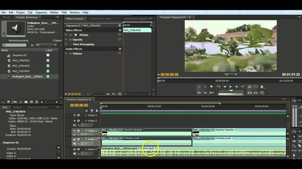 Introducing Adobe Premiere Pro CS4 Basic Video Editing