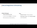 Respiratory System Masterclass for Nursing Exams | NORCET, DMER, AIIMS CRE Prep