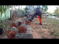 Holzfforma 372xp pro cutting turkey oak tree into chunks  part 2