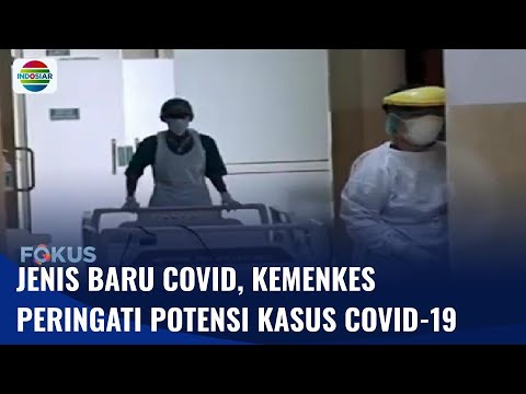 Kemenkes Peringati Potensi Kenaikan Kasus Covid-19 Usai Ditemukan Varian Arcturus | Fokus