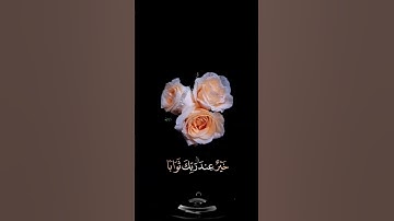 صباح الخير💕 حالات واتس اب مقاطع قصيره💕 قران سورة مريم والباقيات الصالحات💕 عبدالرحمن مسعد بدون حقوق