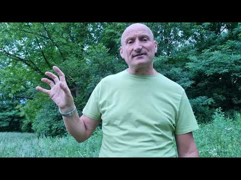 Video: Poznati Psihijatar Rekao Je Da Su Demoni Stvarni I Da Ljudima Pomaže Samo Egzorcizam - Alternativni Prikaz