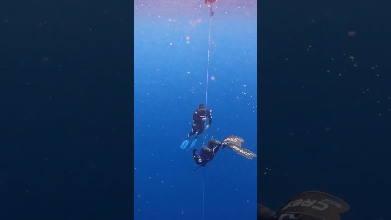 Freediving safety(Apnea) 