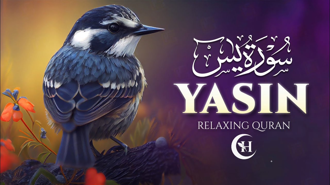 Surah Yaseen (Yasin) سورة يس | Soft Voice | Beautiful Recitation For Sleep |#recitation 