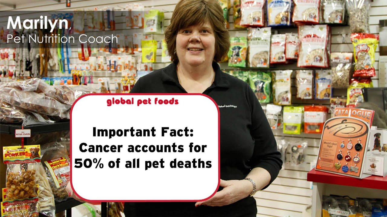 Global Pet Foods - May - 1-0419