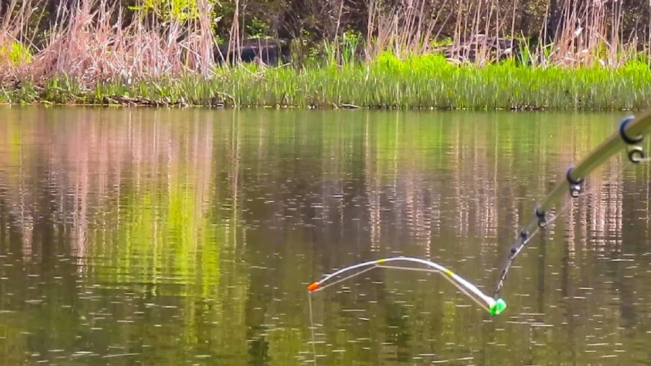 Весенний клев. Мормышка на карася летом.