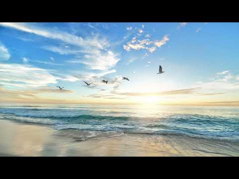 SizzleBird - Tailwind