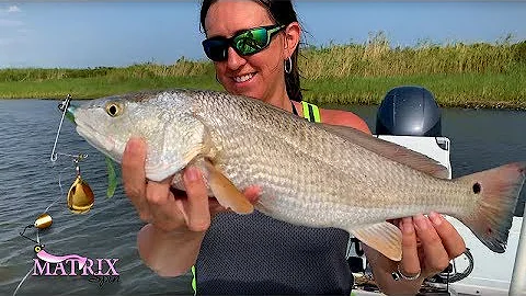 DockSide TV - Introducing the New Matrix Spin