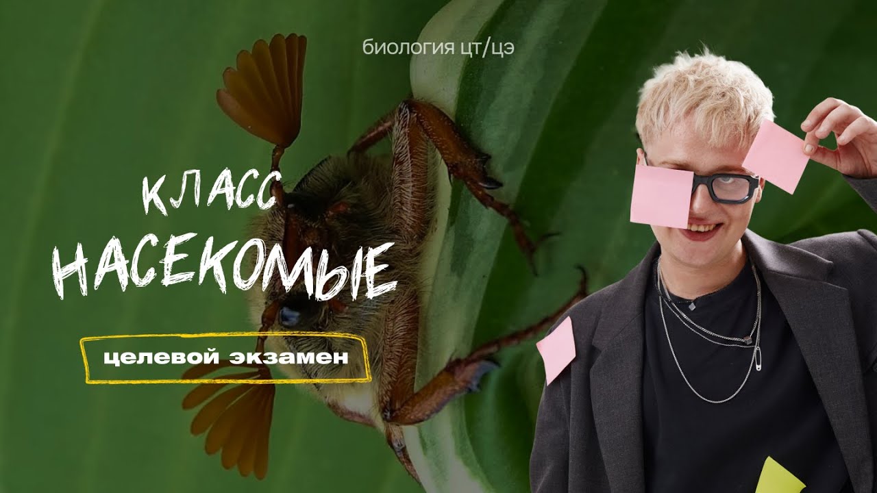 КЛАСС НАСЕКОМЫЕ. МАЙСКИЙ ЖУК | Целевой экзамен