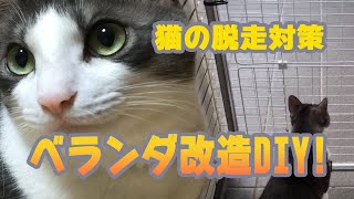 202010 猫のためにベランダを改装するDIY