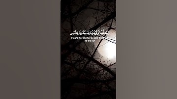 سورة النمل الآية 23 و 24 بصوت القارئ محمد الفقيه