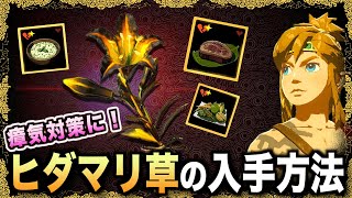 ヒダマリ草を大量に手にいれる方法!序盤から知っておきたい瘴気状態から回復できるサンサン系料理のレシピも一緒にご紹介!【ティアキン攻略】