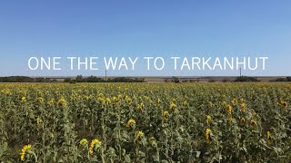 Дорога на Тарканхут