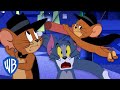 Tom &amp; Jerry | Best of Jerry Van Mousling | Cartoon Compilation | WB Kids