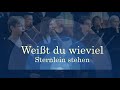 Weißt du, wieviel Sternlein stehen | Berliner Blockflöten Orchester