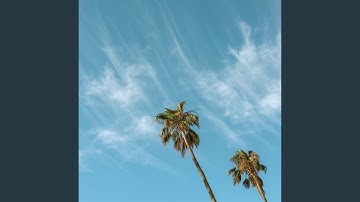 Cultivated Moods for Midterm Exams