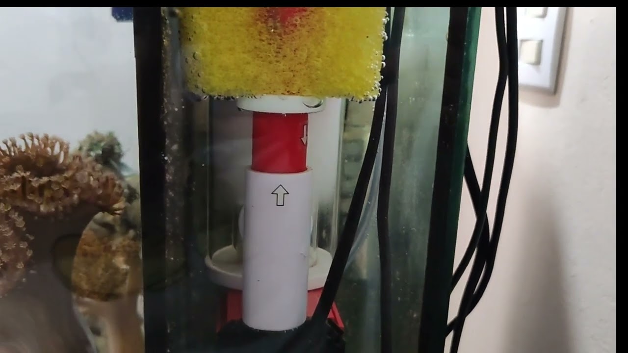 RED DEVIL NANO-150プロテインスキマー Amazon.com: Marine Sources Red Devil NANO-150 - Wall-Mounted Nano