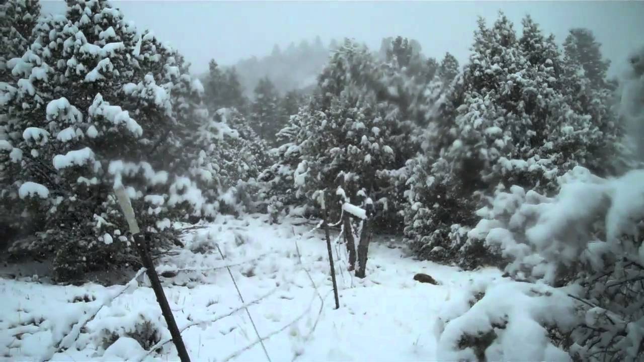 Vallecitos Lot For Sale YouTube