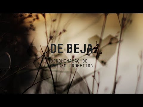 Видеоролик: Бежа