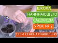 КАК ПРАВИЛЬНО СЕЯТЬ СЕМЕНА РАЗНЫХ РАЗМЕРОВ! НАЧИНАЮЩИЙ САДОВОД!