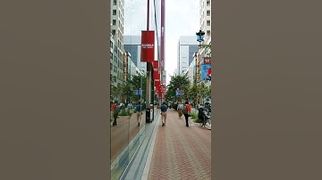 我的第一支散步影片：日本東京銀座並木通り My first walking video: Ginza, Tokyo, Japan | Japan Wanderer 日本乱流散歩【2019】