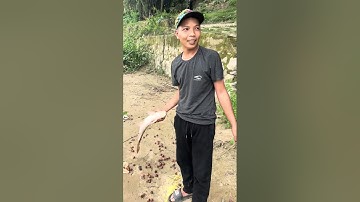 River Fishing | Lancer Fishing, My Firends Caught Big Fish By Small Rod. 