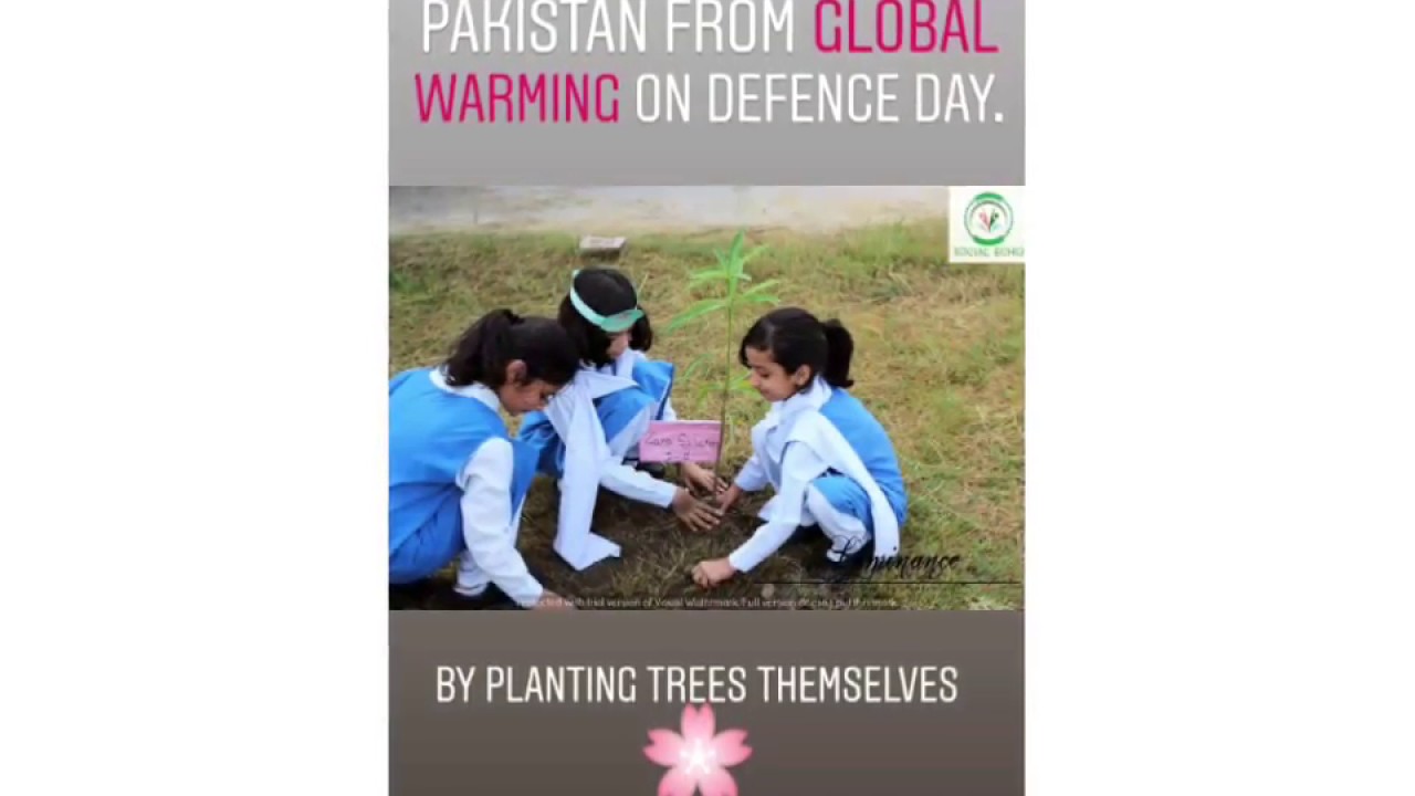 youth-ka-green-pakistan-plantation-drive-at-imcg-g-10-2-social-echo