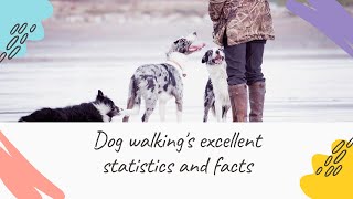 Dog walking's excellent statistics and facts - Pets Guide