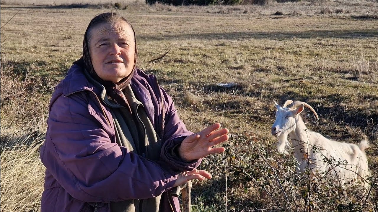 Торбице и Мацуре - Zaseok Torbice i Macure kod Kistanja