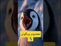 penguin Super Dad Bird #naturefacts #nature #shorts   #fact #animals #birds #Naturelover