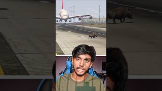 The Pilot's Reckless BET That Crashed a Plane! #shorts